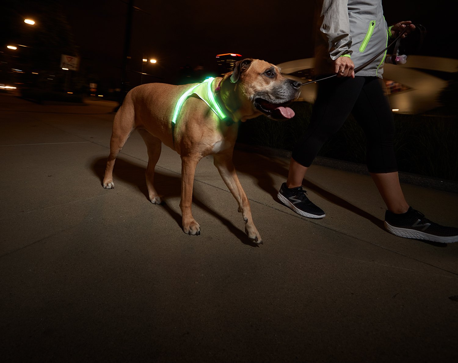 Boven hoofd en schouder Berg kleding op idioom LightHound - LED Illuminated, Reflective Dog Harness - Noxgear
